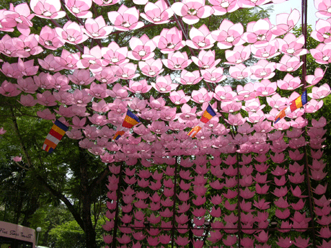Đường hoa Phật Đản 2008 tại Huế
